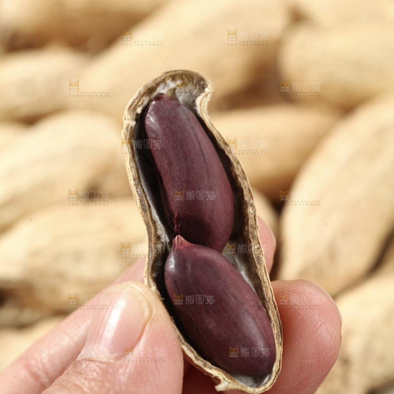 黑皮花生