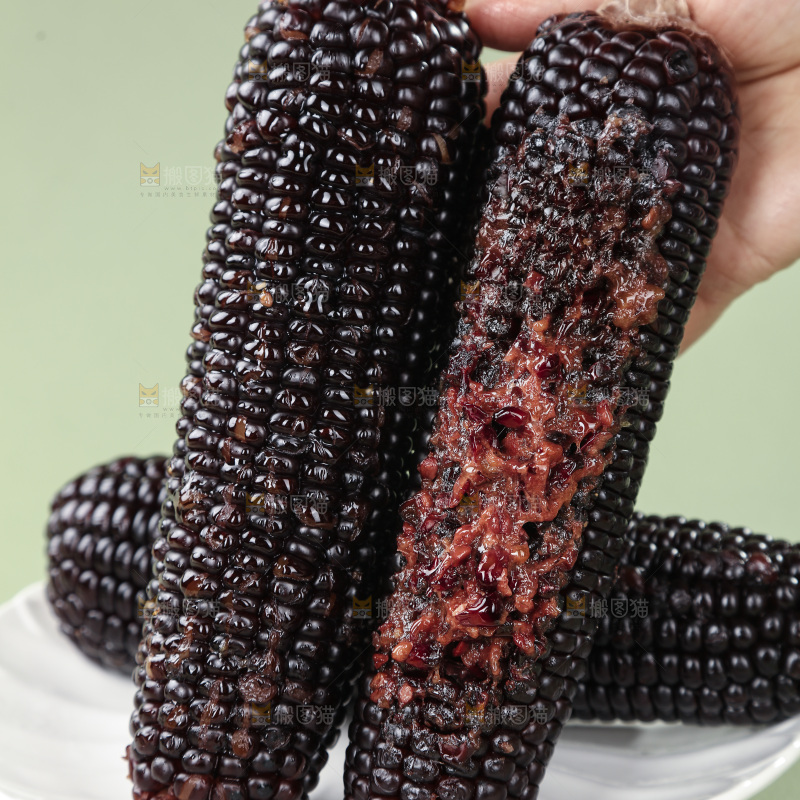 黑糯玉米