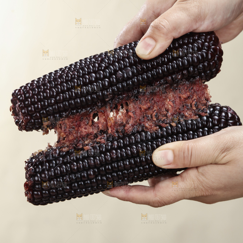 黑糯玉米