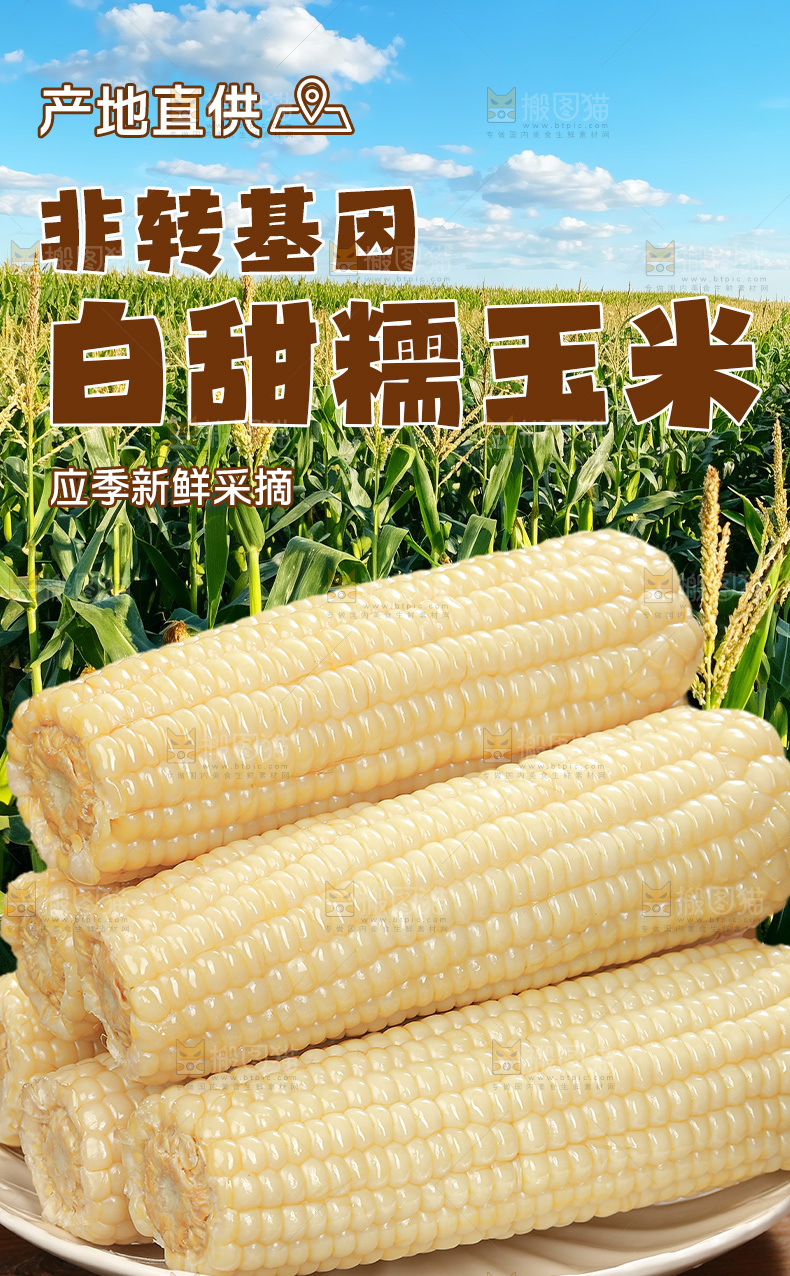 白糯玉米详情页