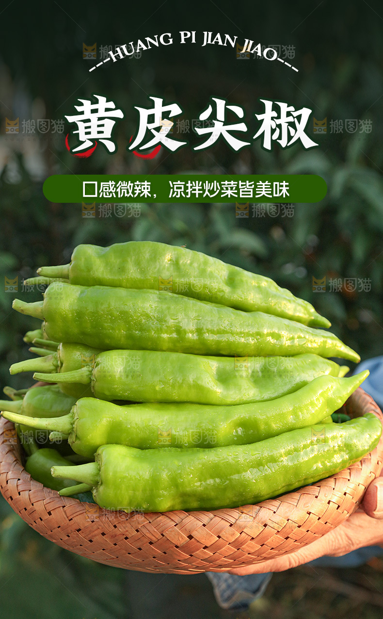 黄皮尖椒详情页