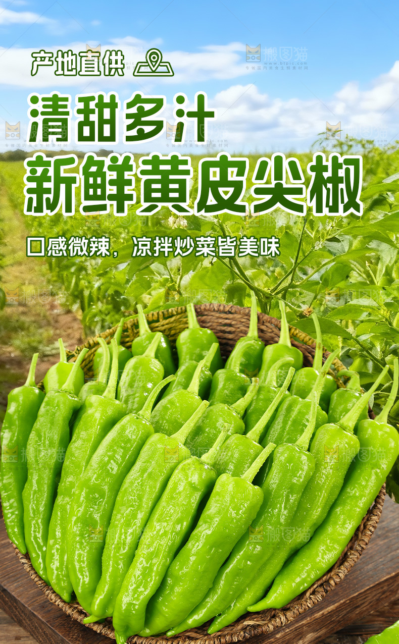 黄皮尖椒详情页