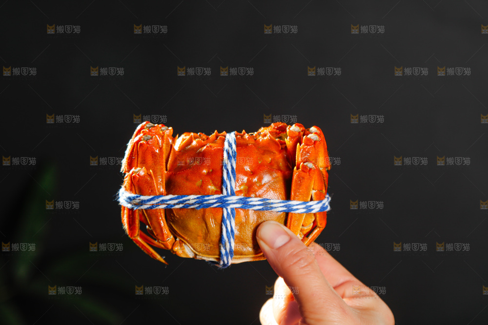大闸蟹