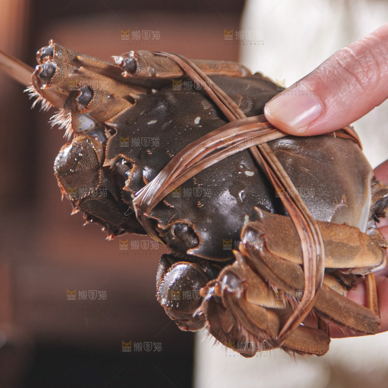 大闸蟹
