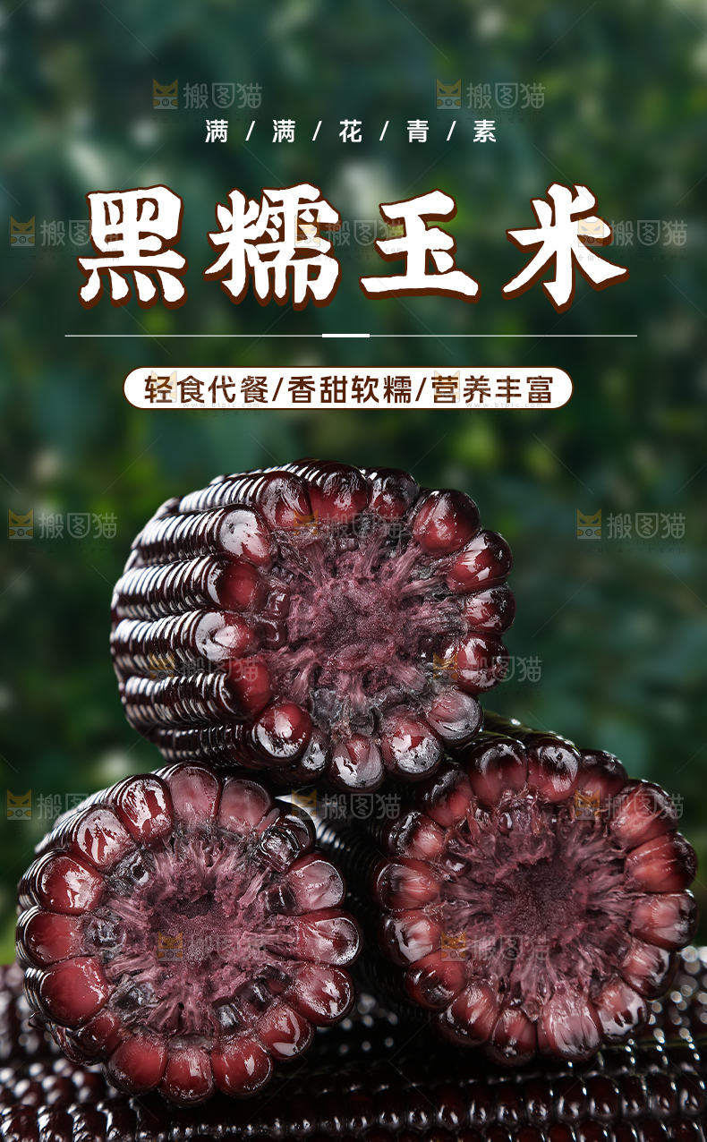 黑糯玉米详情页