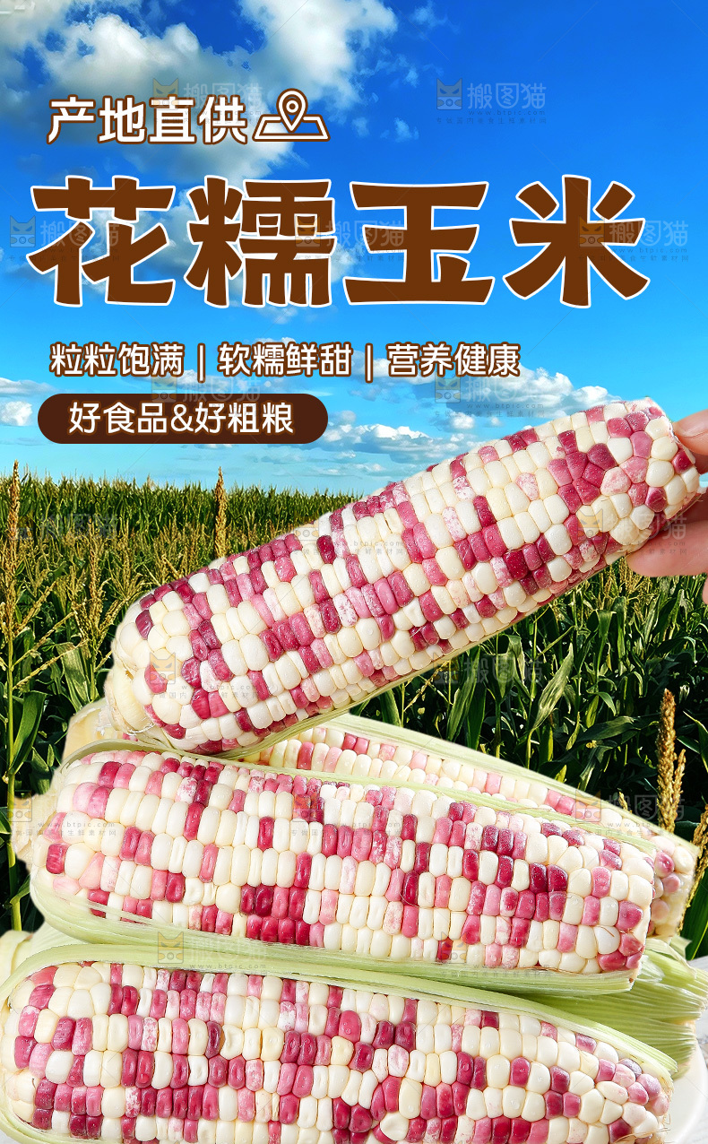 花糯玉米详情页