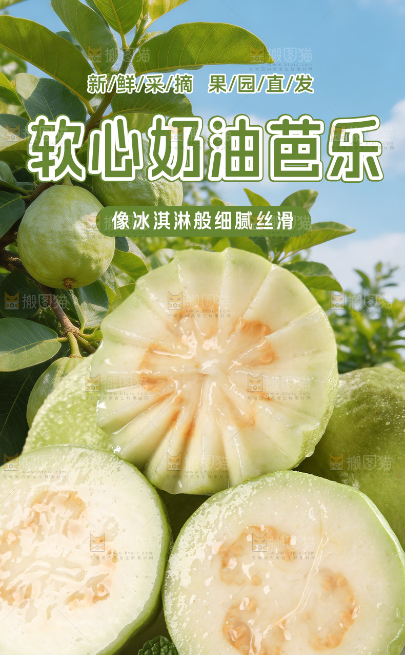 白心芭乐详情页