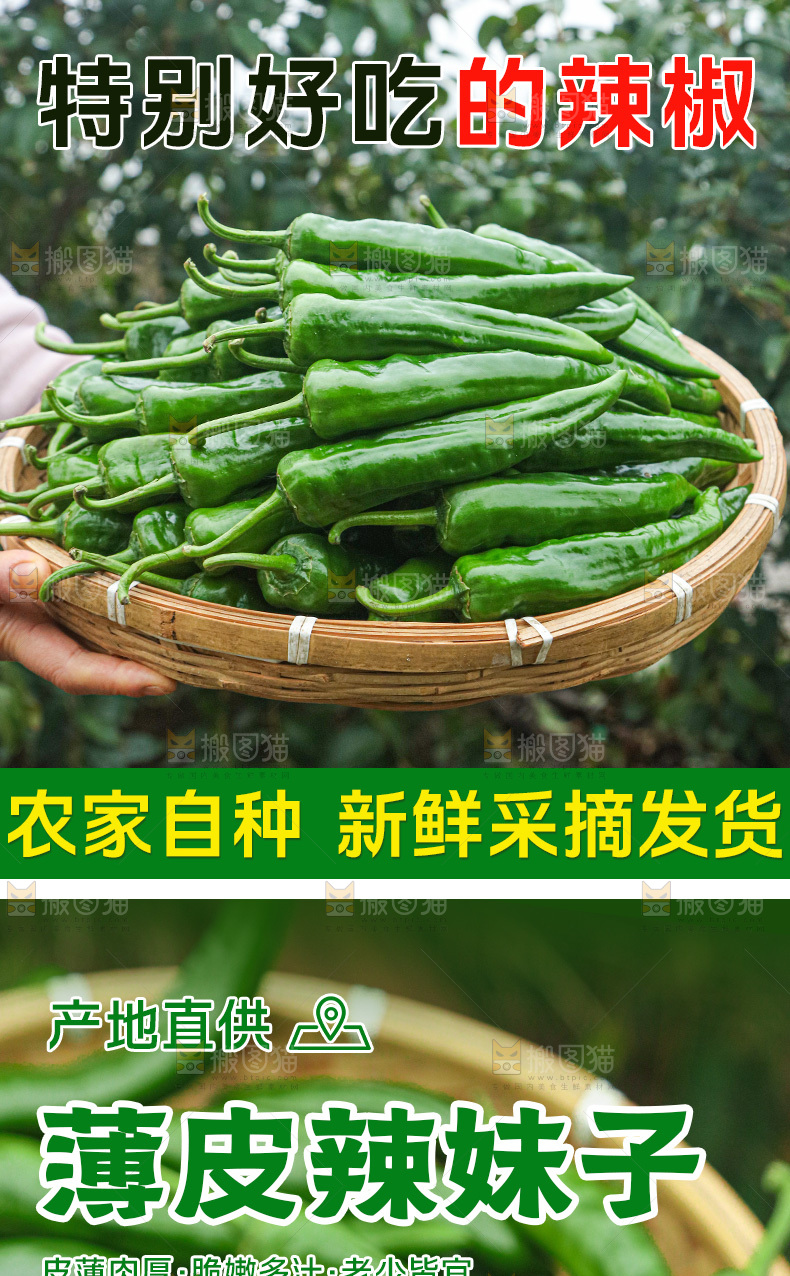 薄皮辣妹子详情页