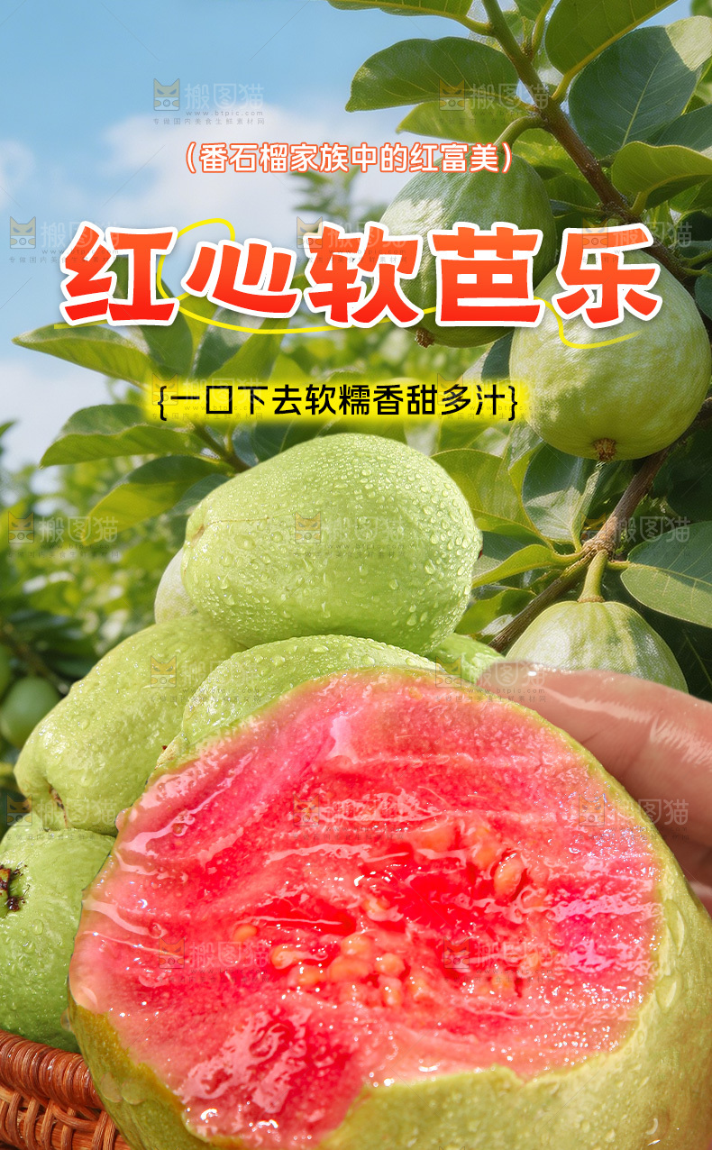 红心芭乐详情页