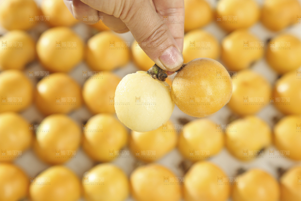 白玉枇杷
