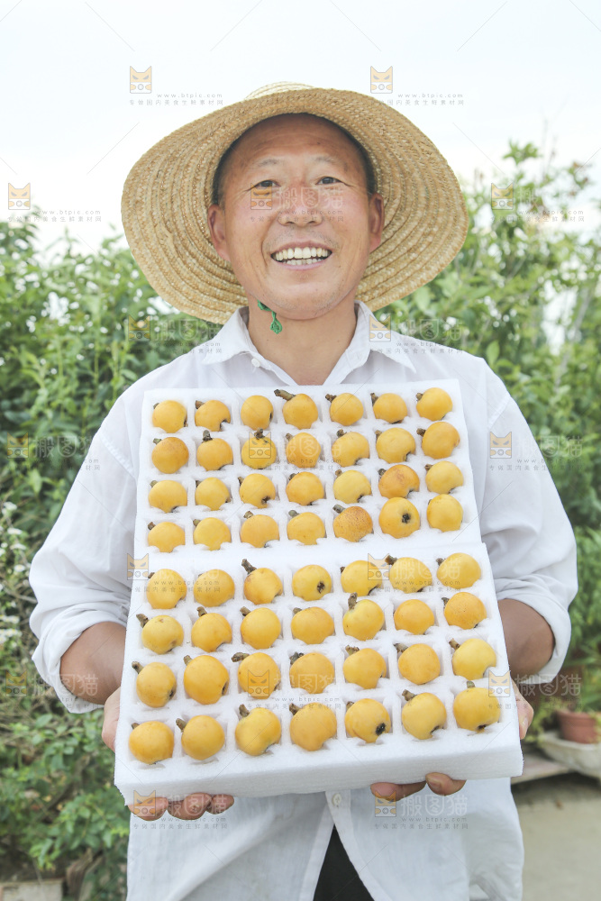 白玉枇杷