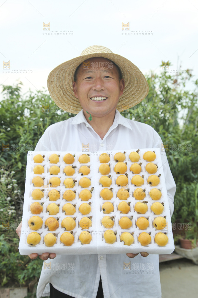 白玉枇杷