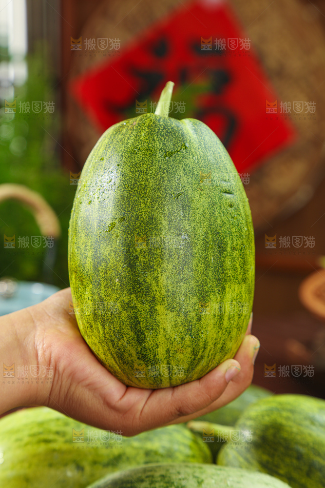 星甜金冠蜜瓜