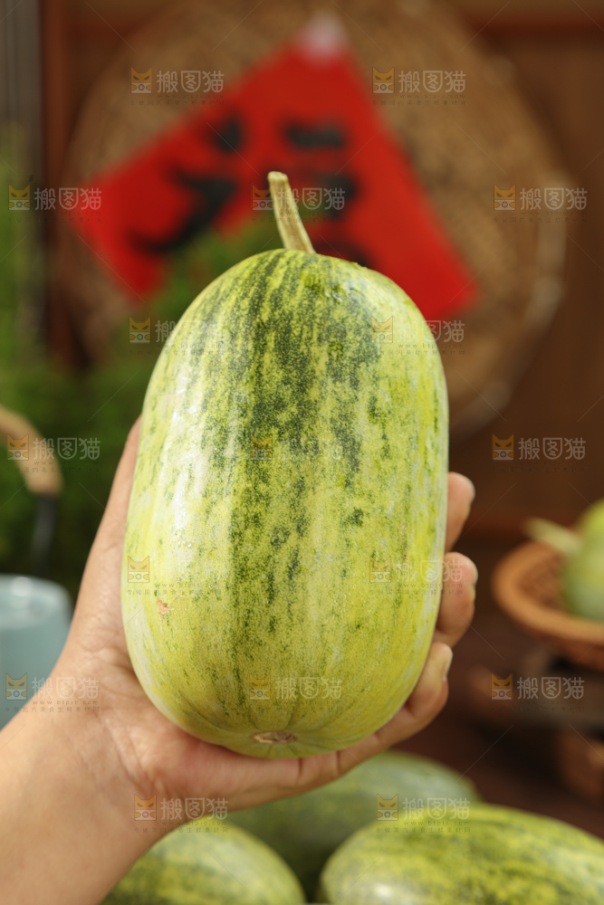星甜金冠蜜瓜
