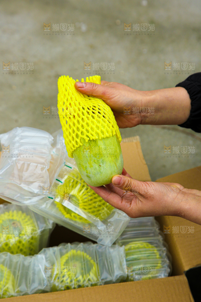 星甜金冠蜜瓜