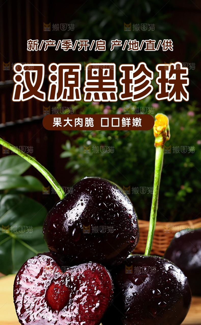 黑珍珠详情页
