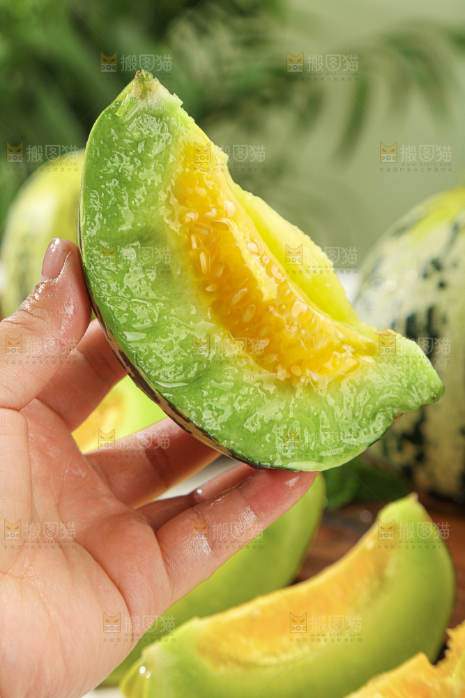 花蕾甜瓜