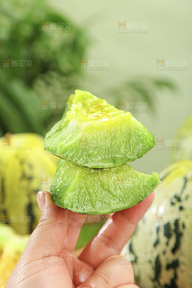 花蕾甜瓜