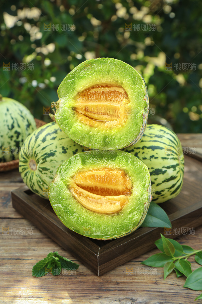 花蕾甜瓜