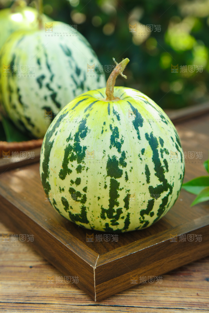 花蕾甜瓜