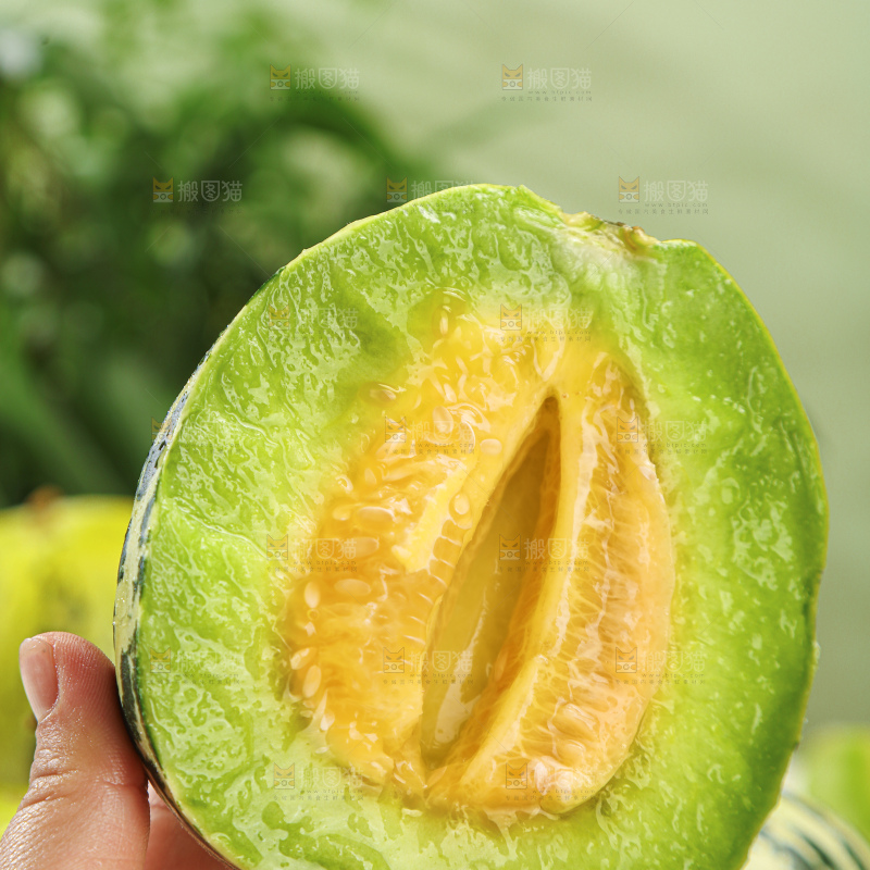 花蕾甜瓜