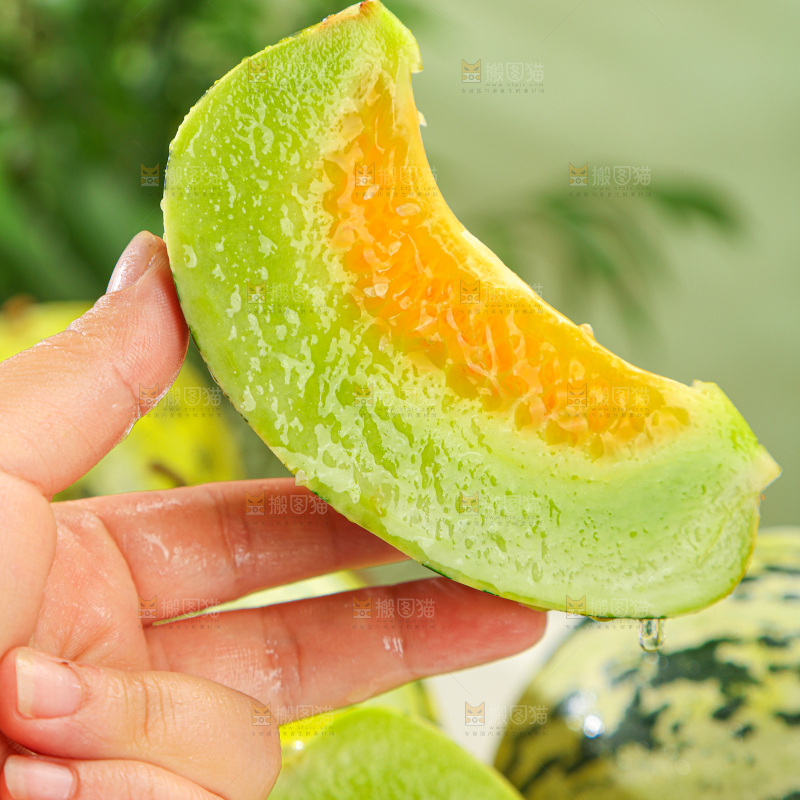 花蕾甜瓜