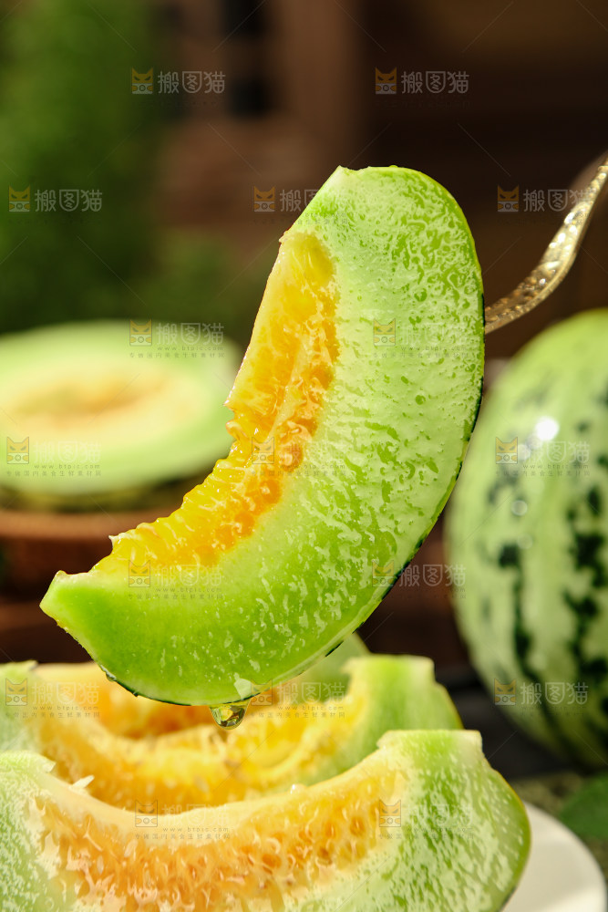 花蕾甜瓜