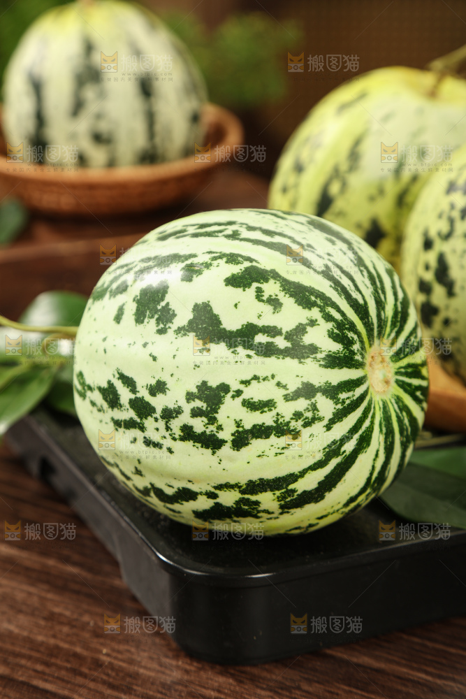 花蕾甜瓜