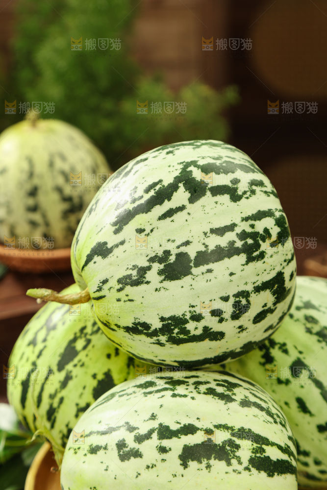 花蕾甜瓜
