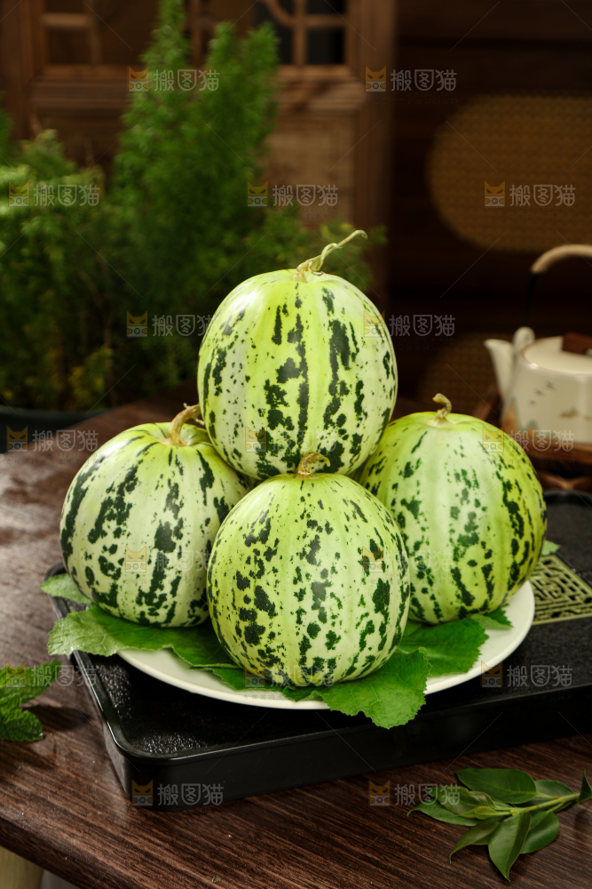 花蕾甜瓜