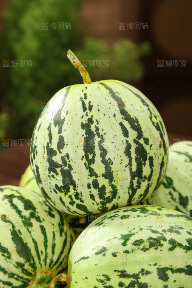 花蕾甜瓜