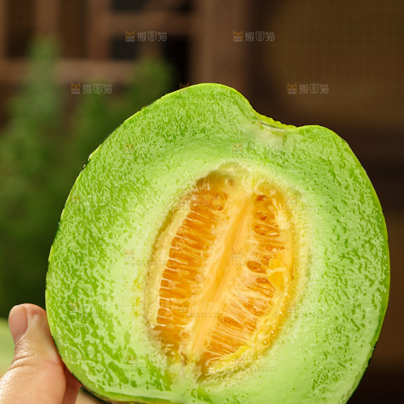 花蕾甜瓜