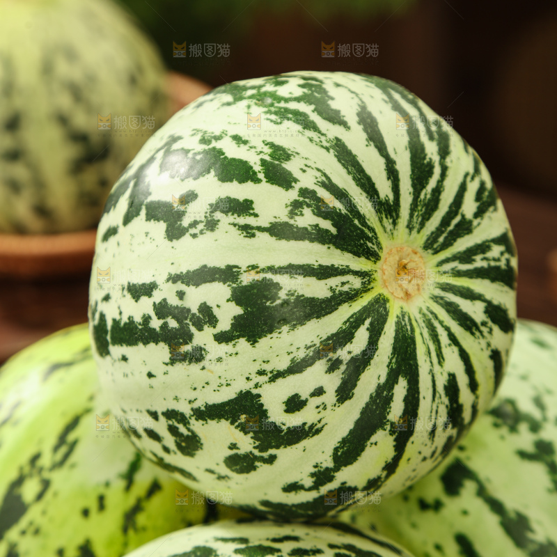 花蕾甜瓜