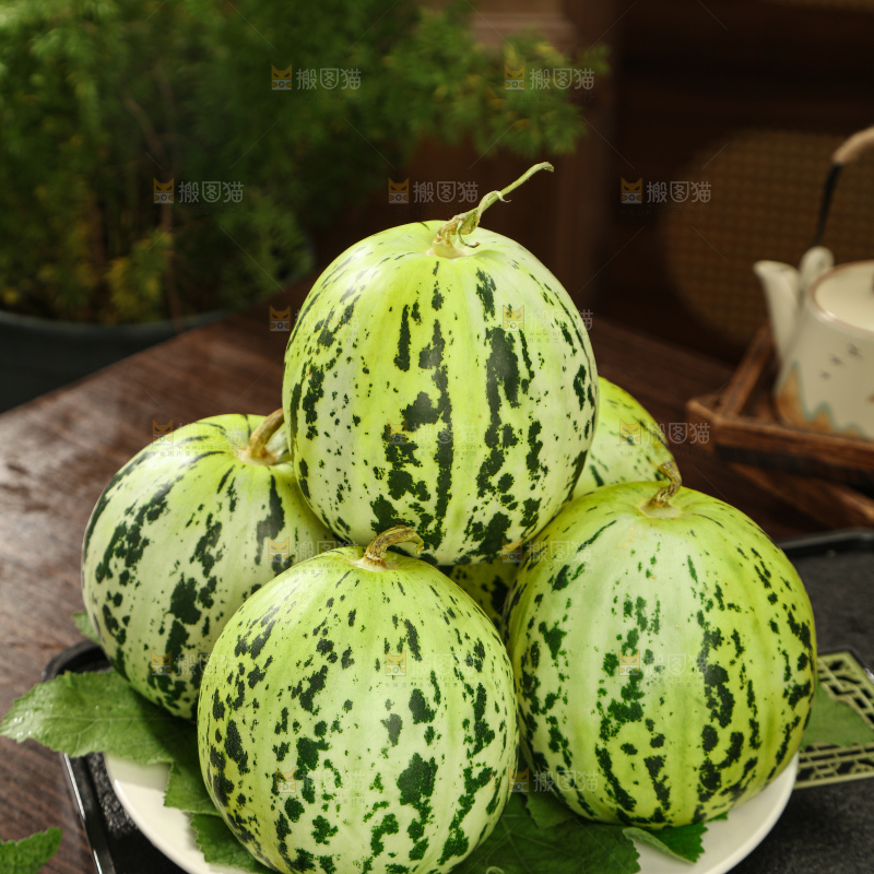 花蕾甜瓜