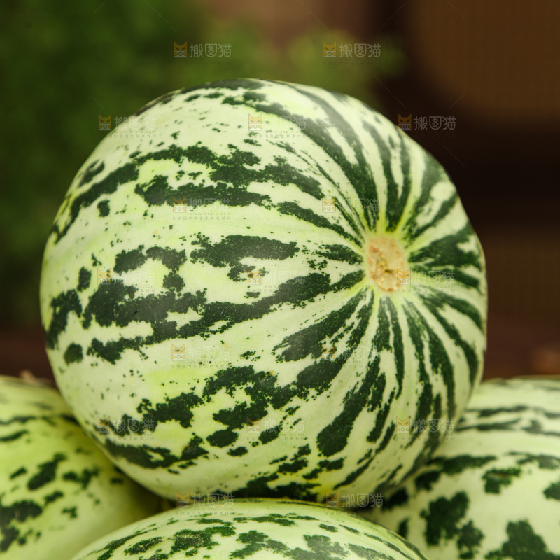 花蕾甜瓜