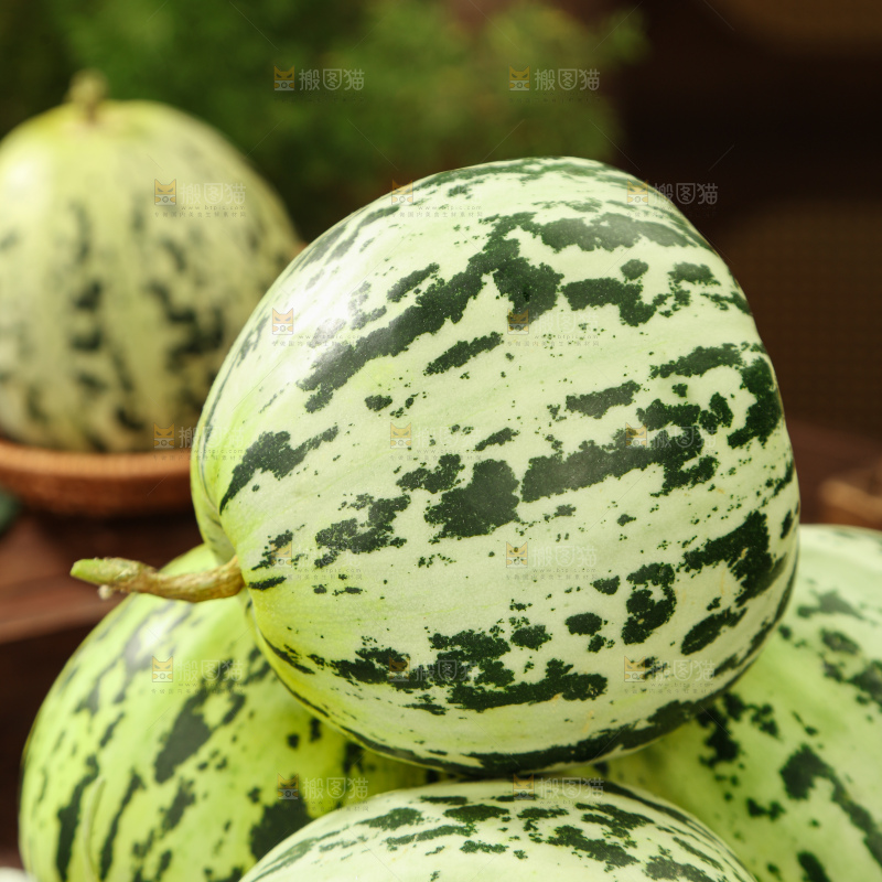 花蕾甜瓜