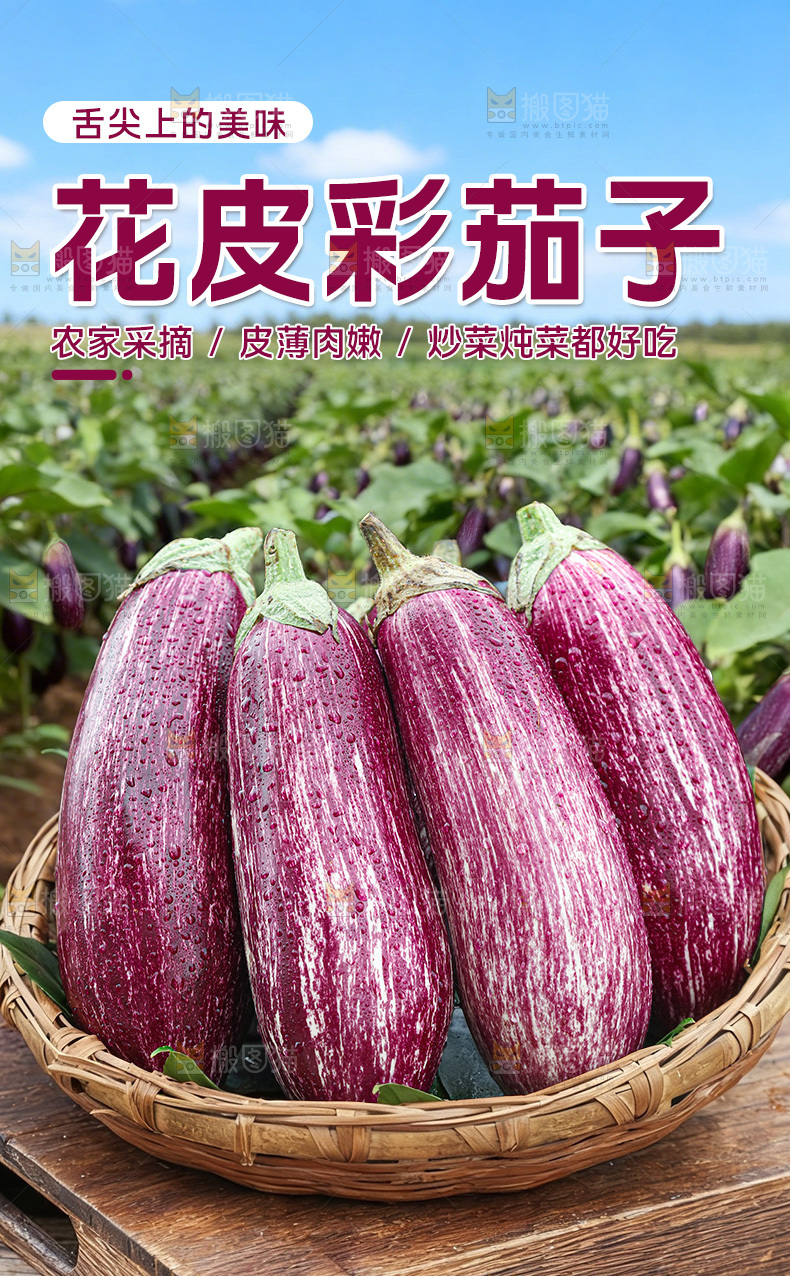 花皮彩茄子详情页