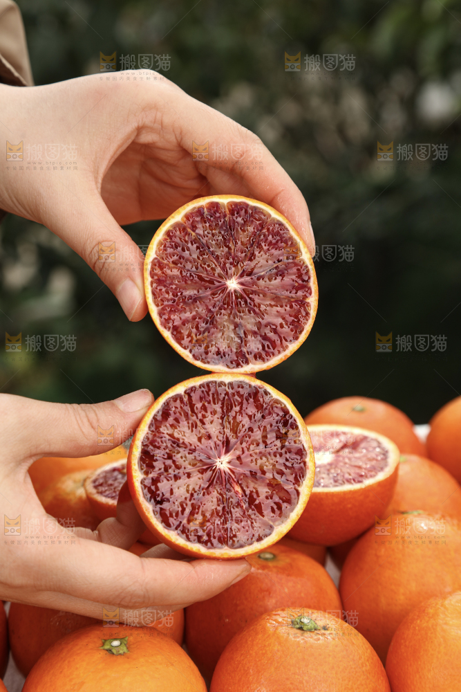 塔罗科血橙