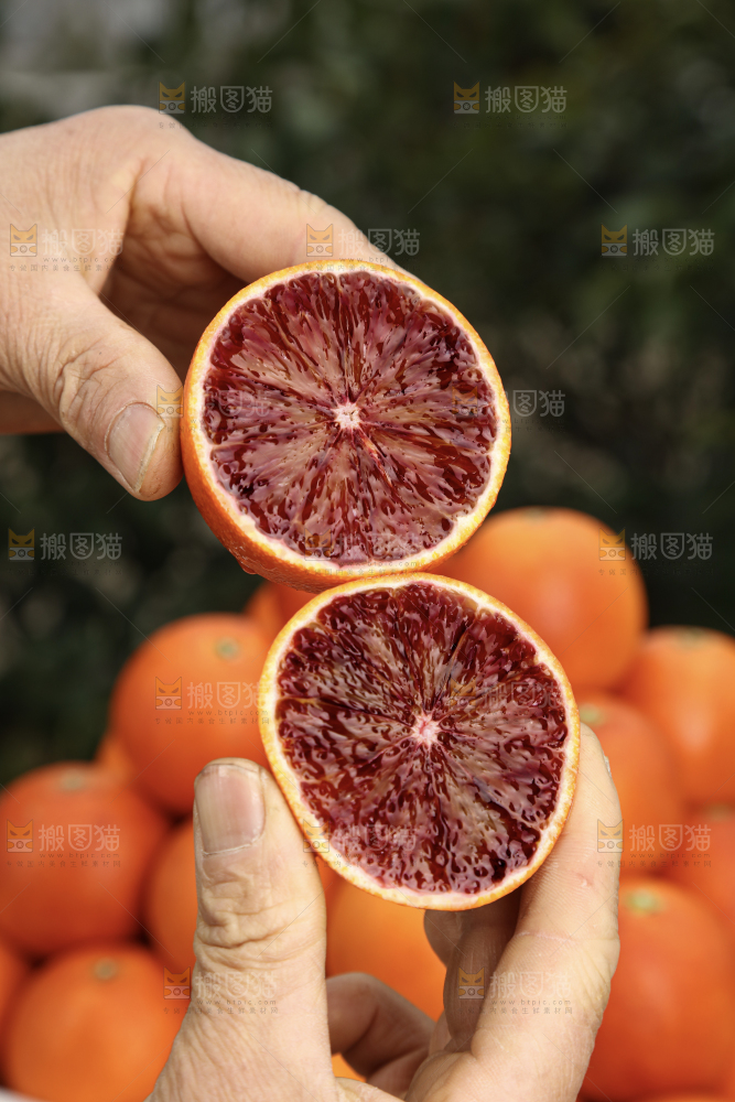 塔罗科血橙