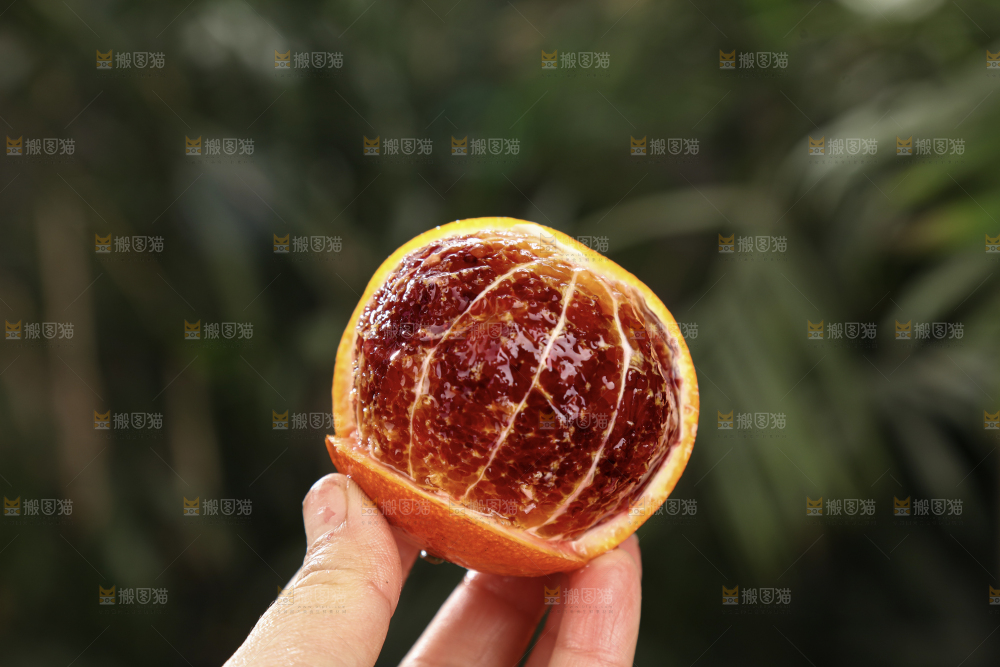 塔罗科血橙