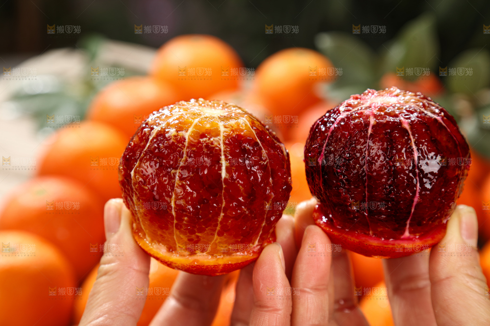 塔罗科血橙
