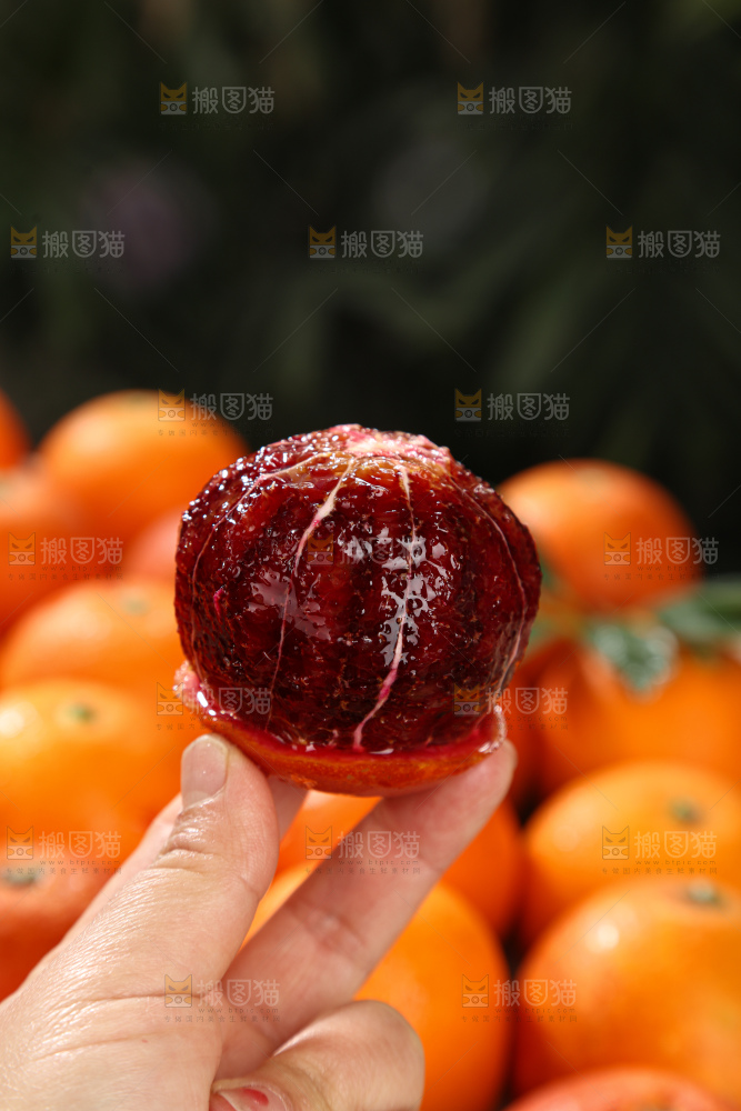 塔罗科血橙