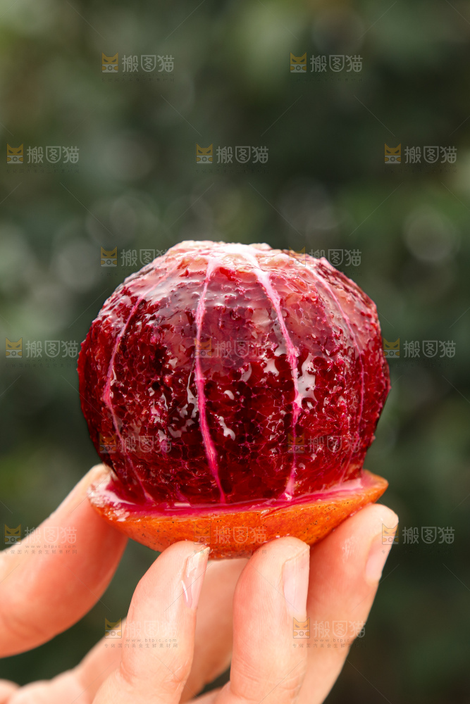 塔罗科血橙