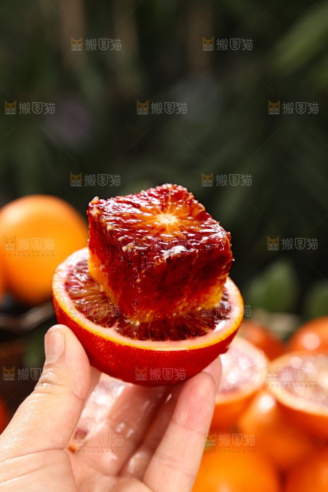 塔罗科血橙