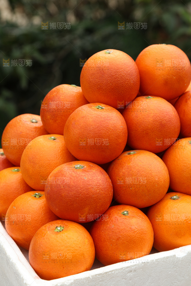 塔罗科血橙