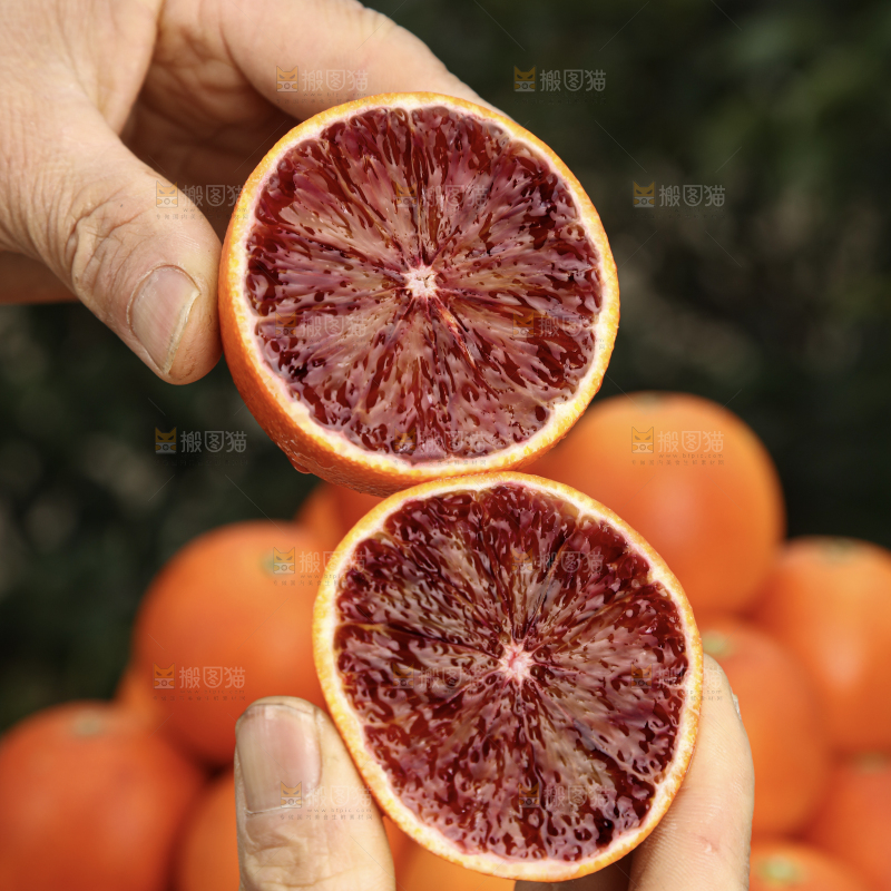 塔罗科血橙