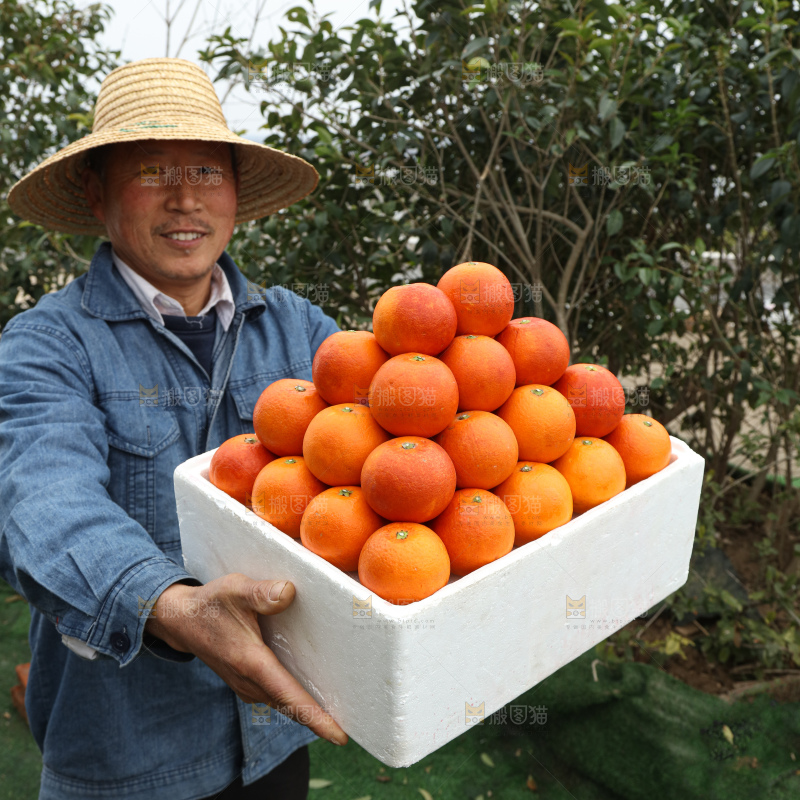 塔罗科血橙