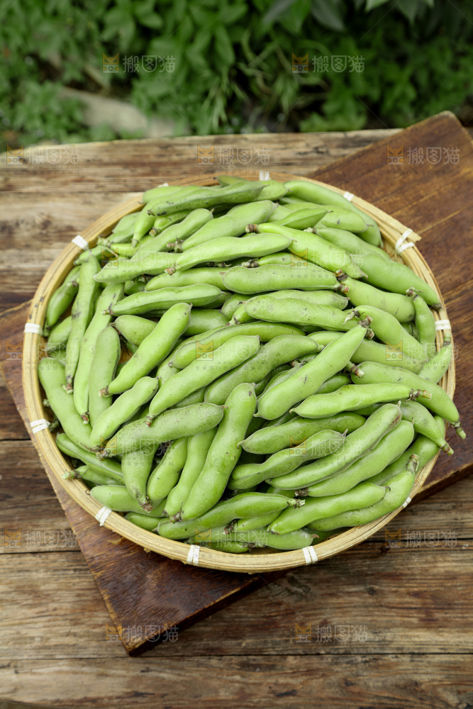 蚕豆