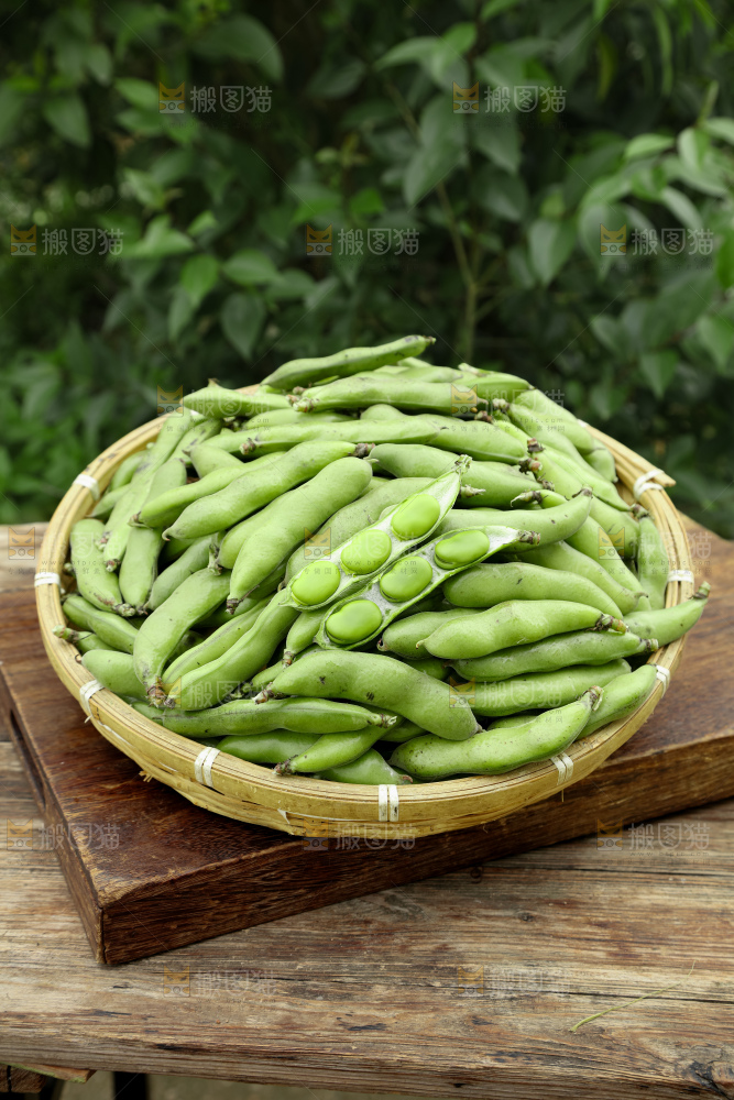 蚕豆