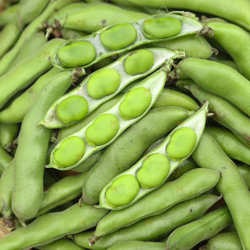 蚕豆